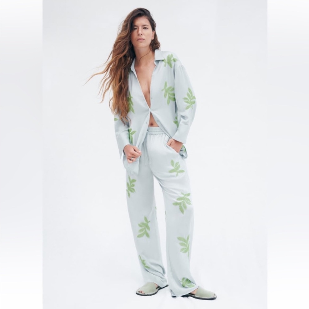 NWT Zara Embroidered Pants